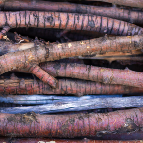 Picture for category Fruit Woods