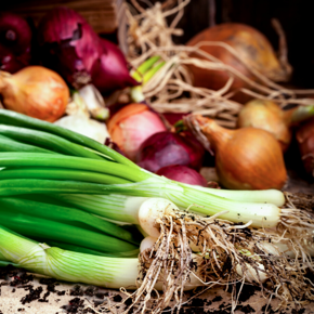 Picture for category Onions, Shallots, Garlic & Leeks