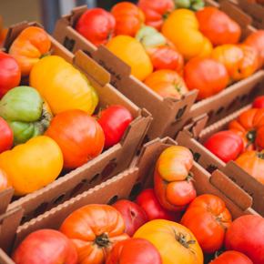 Picture for category Tomatoes & Cucumbers