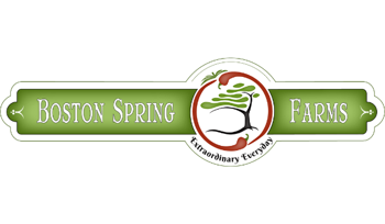 Picture for manufacturer Boston Spring Farms