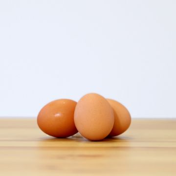 Eggs Brown MEDIUM Roaming from Mennonite Farms SINGLE DOZEN