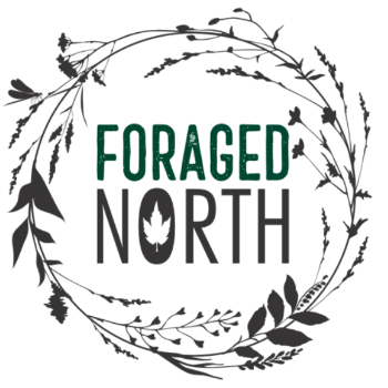 Picture for manufacturer Foraged North