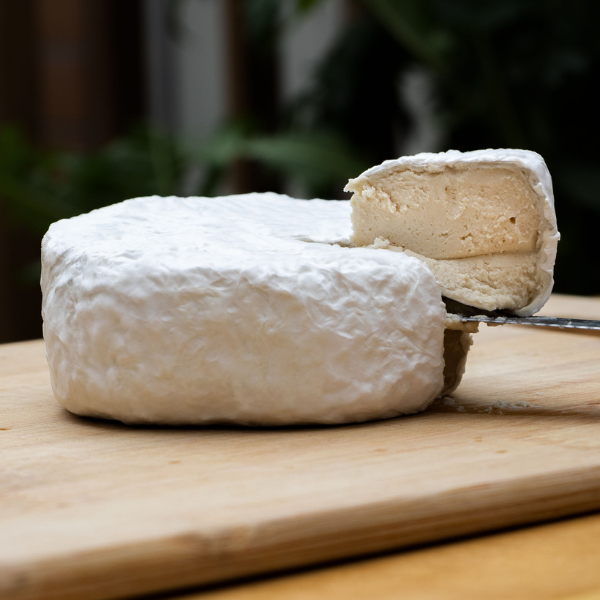 Future of Cheese