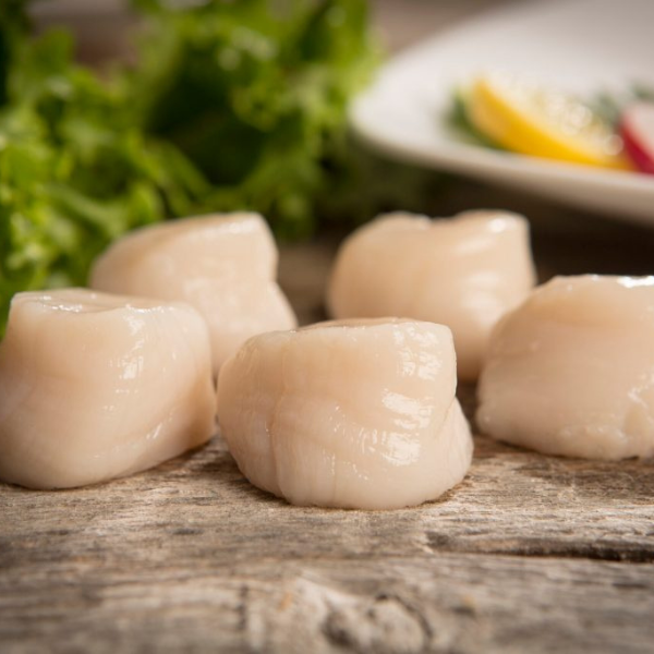 Nautical Seafood Scallops