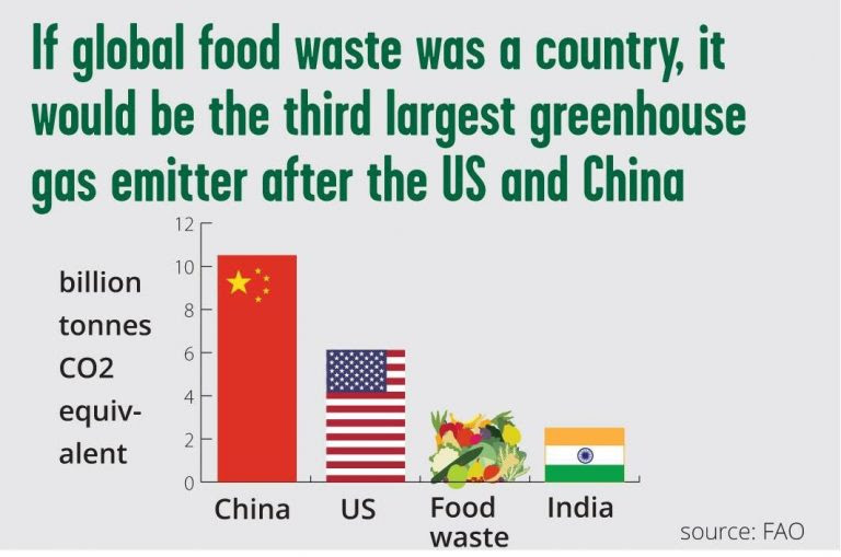 Food Waste
